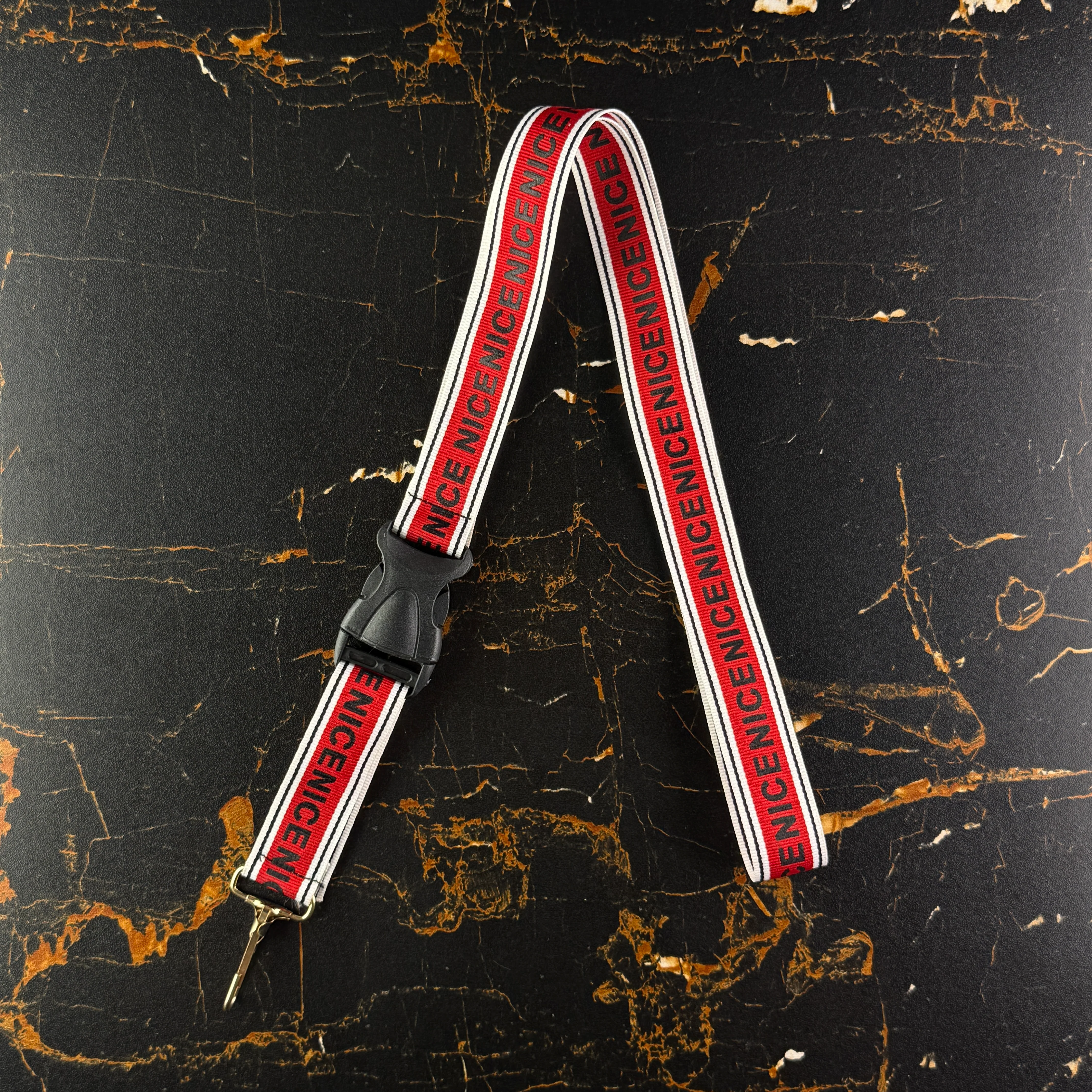 Bike Seatbelts - Image 3